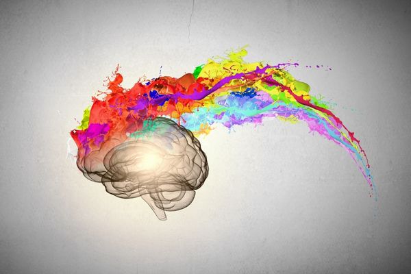 Creativity