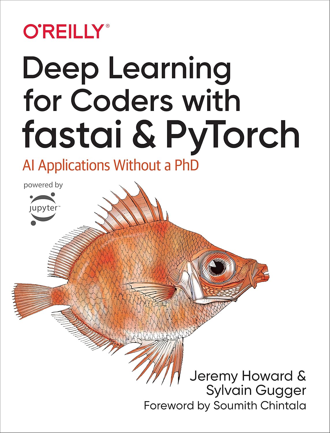 best-ai-books-deep-learning-for-coders-fastai-pytorch.jpg